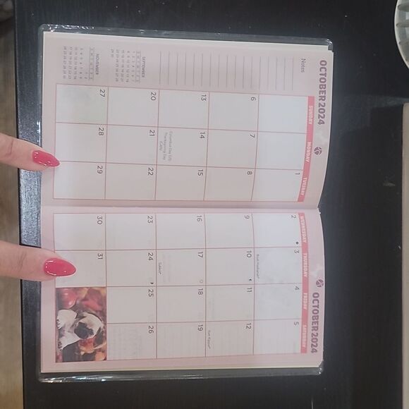 Puppies dogs corgi 2024 2025 monthly Planner pocketbook calendar pug frenchie - Picture 5 of 10